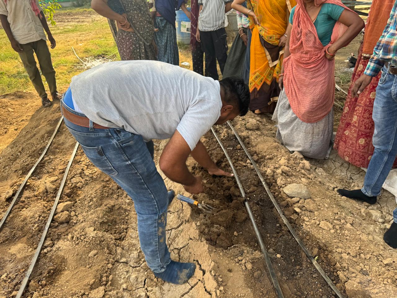 Organic Fertilizers