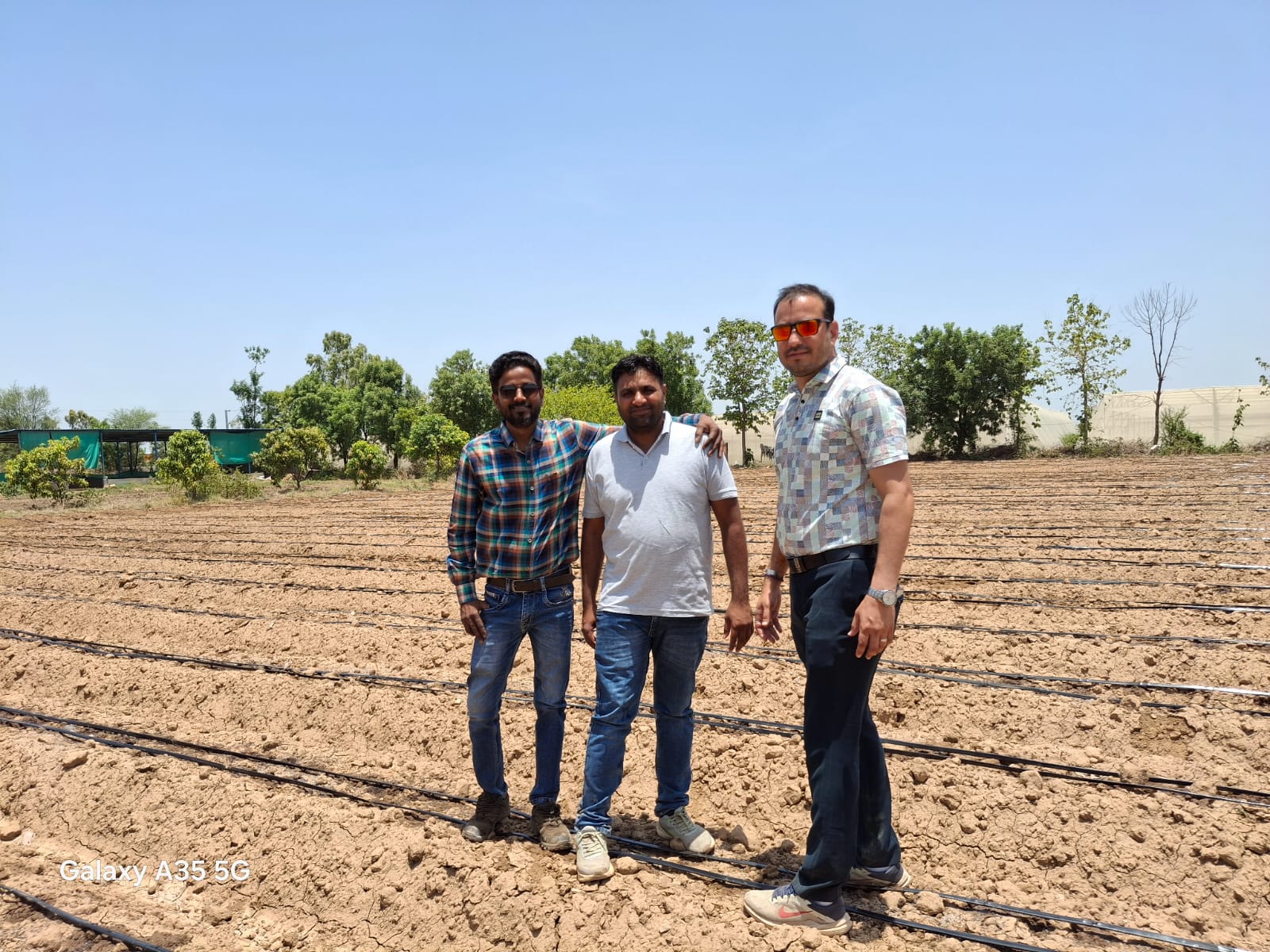 Open Field Farming
