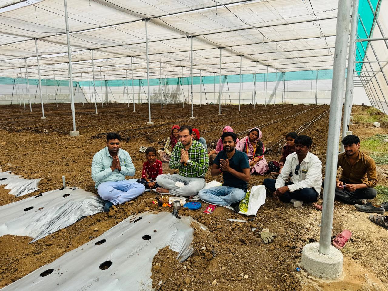 Turmeric Farming